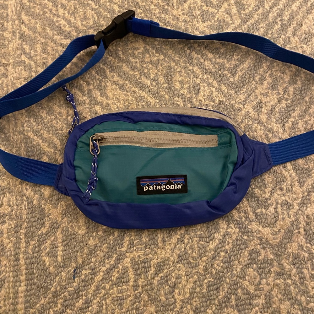 New without tag Patagonia hip Fanny waist pack mini bag 1 L